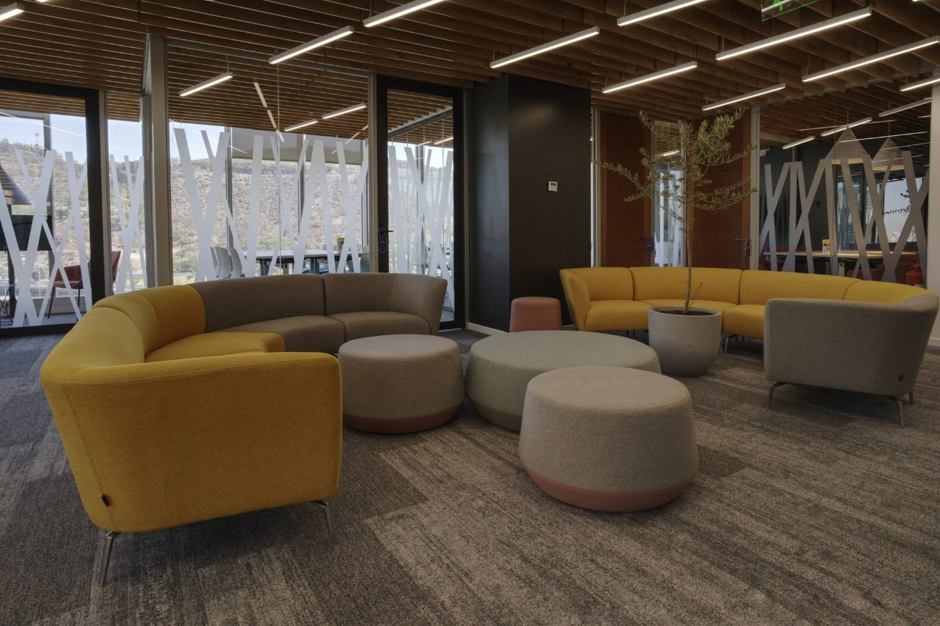 Sala de estar de las oficinas de Fundación Anglo American, con sofás curvos amarillos y grises, pufs, cielo de listones de madera y ventanales